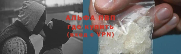 сатива Сатка