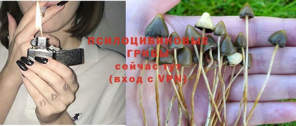 трава Алексеевка