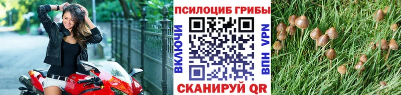 Галлюциногенные грибы прущие грибы  Болхов 